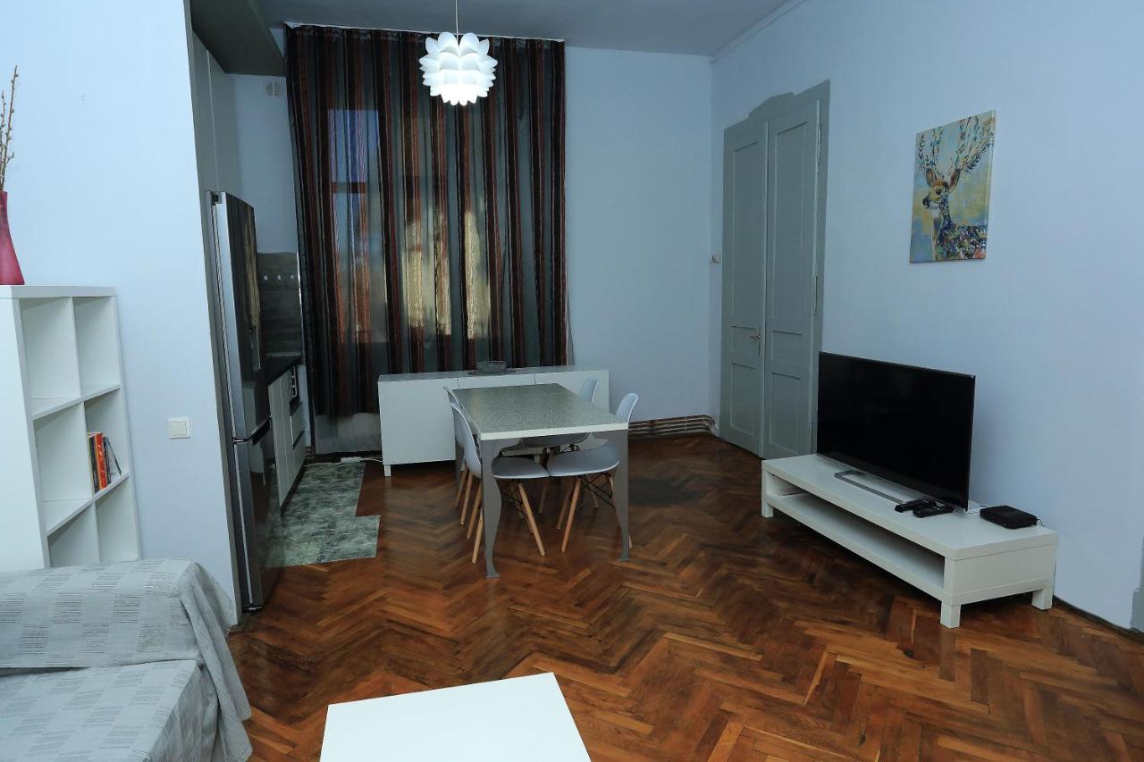 Napoca Central Apartment Cluj-Napoca Ngoại thất bức ảnh